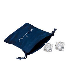 Seven Days of Dazzle Earring Collection 7981 0149 b pouch