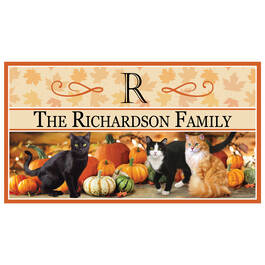 The Fabulous Felines Seasonal Welcome Mats 6199 0016 a main