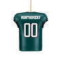 The Eagles Personalized Christmas Ornament with FREE helmet 11399 0022 d back
