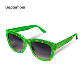 Eye Candy Seasonal Sunglasses 6797 0012 i september