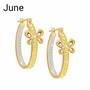Holiday Hoops Crystal Earring Collection 6442 002 9 5