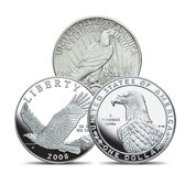 Eagle Silver Coin Collection 10035 0016 b coin