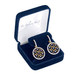 Infinite Dazzle Drop Earrings 6717 0019 g gift box