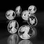 The Legendary Seven - The San Francisco Silver Eagles Proofs Collection, The Legendary Seven The San Francisco Silver Eagles Proofs 5414 001 7 1