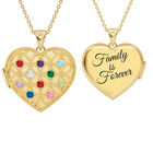 Family is Forever Personalized Birthstone Locket 10972 0011 a main