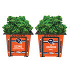The NFL Personalized Planters 1929 0048 a broncos