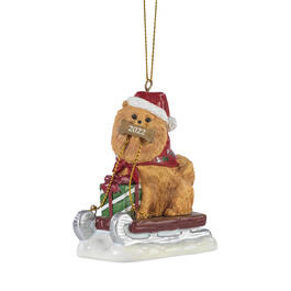 Dog Annual Ornament Pom 6428 0480 a main