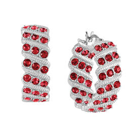 Birthstone Hoop Earrings 6003 0020 a january