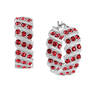 Birthstone Hoop Earrings 6003 0020 a january