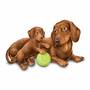 Puppy Playtime Figurine 4859 023 6 1