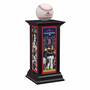 2018 Boston Red Sox World Series Championship Commemorative 3197 014 8 1
