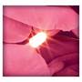 My Daughter Forever Lit Bouquet, My Daughter Forever Lit Bouquet 5063 001 1 3