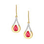 The Birthstone Diamond Drop Earrings 11073 0017 a main