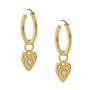 Golden Essentials Earrings Collection 10171 0010 b earring one