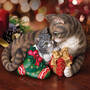 Meow-y Christmas, Cat and Kitten Christmas Figurine 6036 0013 c room