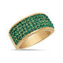 Personalized Birthstone Fire Ring 10594 0019 e may