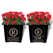 The Monogrammed Personalized Planters 11533 0011 a main