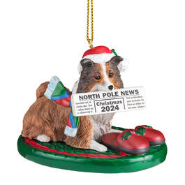 Dog Annual Ornament Sheltie 6428 0829 a main