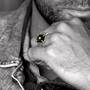 Bird of Prey Mens Diamond Ring 10053 0013 m model