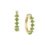 Cheers! 12 Hoop Earring Collection, Cheers 12 Hoop Earring Collection 12202 0019 h earring