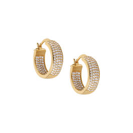 Dazzling Huggie Hoops Five Earring Set 11555 0014 e earing