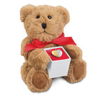 I Love You Forever Teddy bear and Diamond Pendant 10595 0026 a main