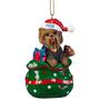 The 2020 Yorkie Long haired Ornament 6428 020 9 1