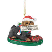Dog Annual Ornament YorkieLH 6428 0688 a main