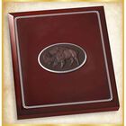 Complete Buffalo Nickel Collection 2982 001 6 1