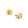 Ultimate Cocktail Earring Set 12307 0013 b earring