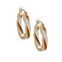 Essentials Mocha Swirl Earring Set 10731 0013 b earring01