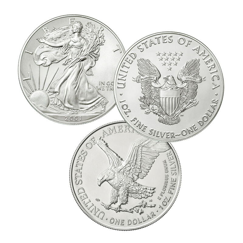 Silver Eagles of the 21st Century 2845 0054 b coin