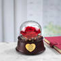 Enchanted Love Personalized Rose Globe 11789 0012 c roomshot