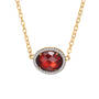 The Birthstone Statement Necklace 11614 0013 b january