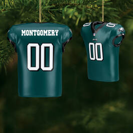 The Eagles Personalized Christmas Ornament with FREE helmet 11399 0022 m room