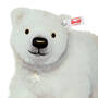 Star The Steiff Polar Bear 6992 0015 b closeup shot
