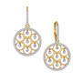 Infinite Dazzle Drop Earrings 6717 0019 a main
