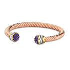 Natures Radiance Copper and Amethyst Bangle 10276 0014 a main