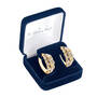 Diamond Swirl Earrings, Diamond Swirl Earrings 6500 0028 g gift display