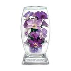 Miracle Orchids 4607 002 5 1