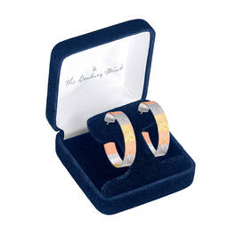 Shebas Secret Hoop Earrings 5525 0054 b display box