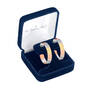 Shebas Secret Hoop Earrings 5525 0054 b display box