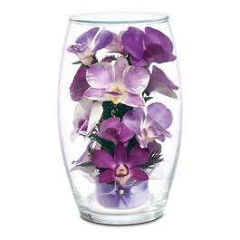 Miracle Orchids 4607 001 7 1