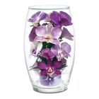 Miracle Orchids 4607 001 7 1