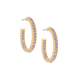 The Essential Birthstone Hoop Earrings 11034 0056 f june