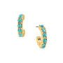 Seven Shades of Wonderful 14 Pair Earring Collection 12175 0111 a main