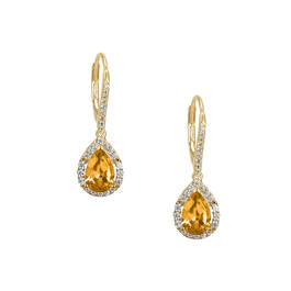 Birthstone Elegance Earrings 11762 0047 k november
