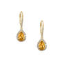 Birthstone Elegance Earrings, Birthstone Elegance Earrings 11762 0047 k november