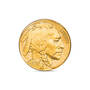 Gold-Highlighted Historic American Coins, Gold Enhanced US Coins 11130 0034 c coin 1