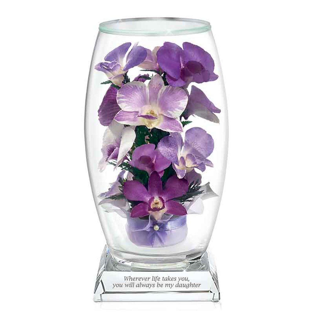 Miracle Orchids For My Daughter